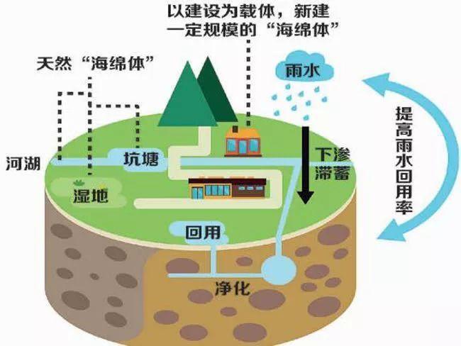 雨水收集利用系統(tǒng)都被應(yīng)用到什么領(lǐng)域？